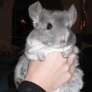 Meet your Posher, Tanasia